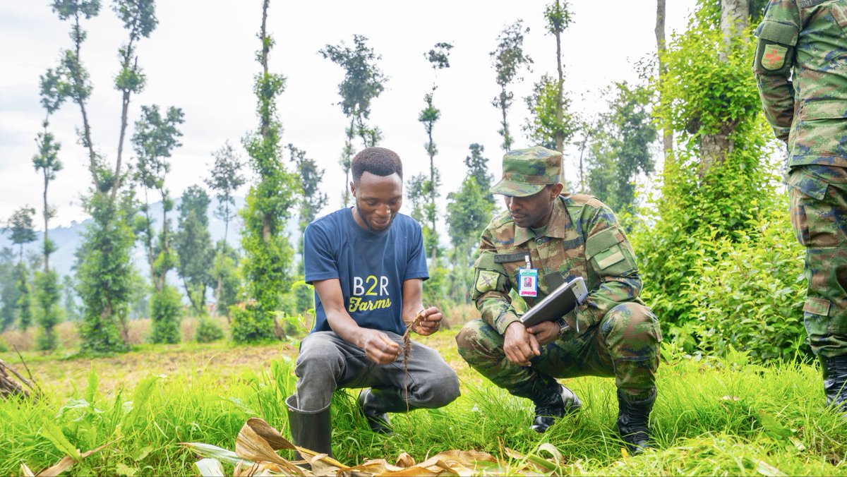 B2RFarms's tweet photo. We were honored to host senior officers from the Rwanda Defence Force Command &amp; Staff College at our Busogo Demo Farm during their National Study Tour. The visit highlighted the link between climate resilience and sustainable development.

 #ConservationAgriculture  #FfF https://t.co/mBCpXCjK0y