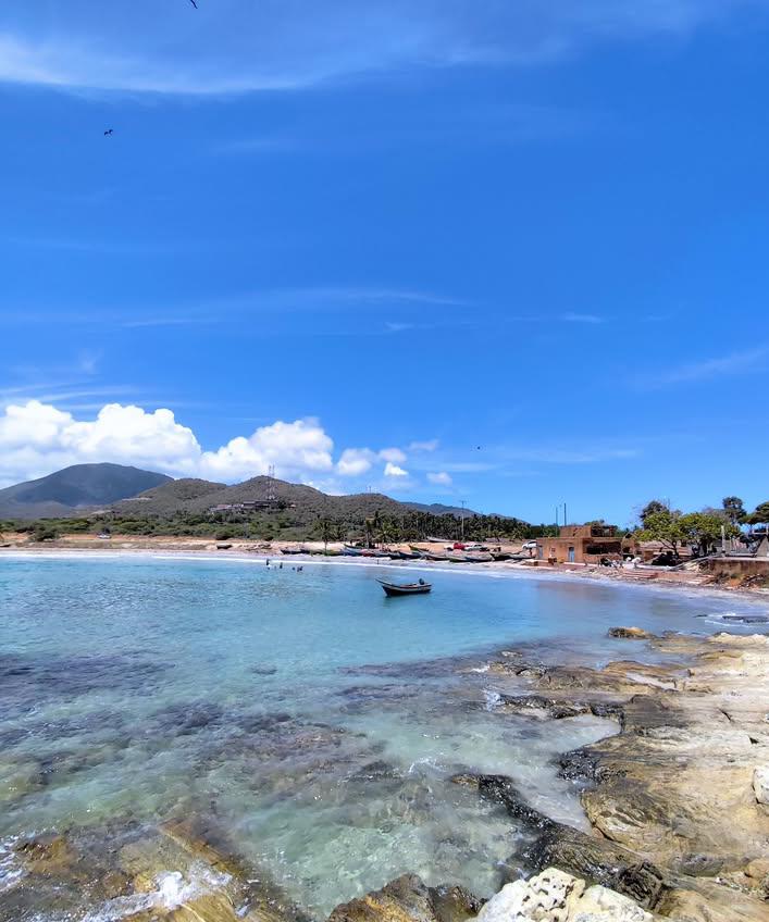 Johan quijada tweet media