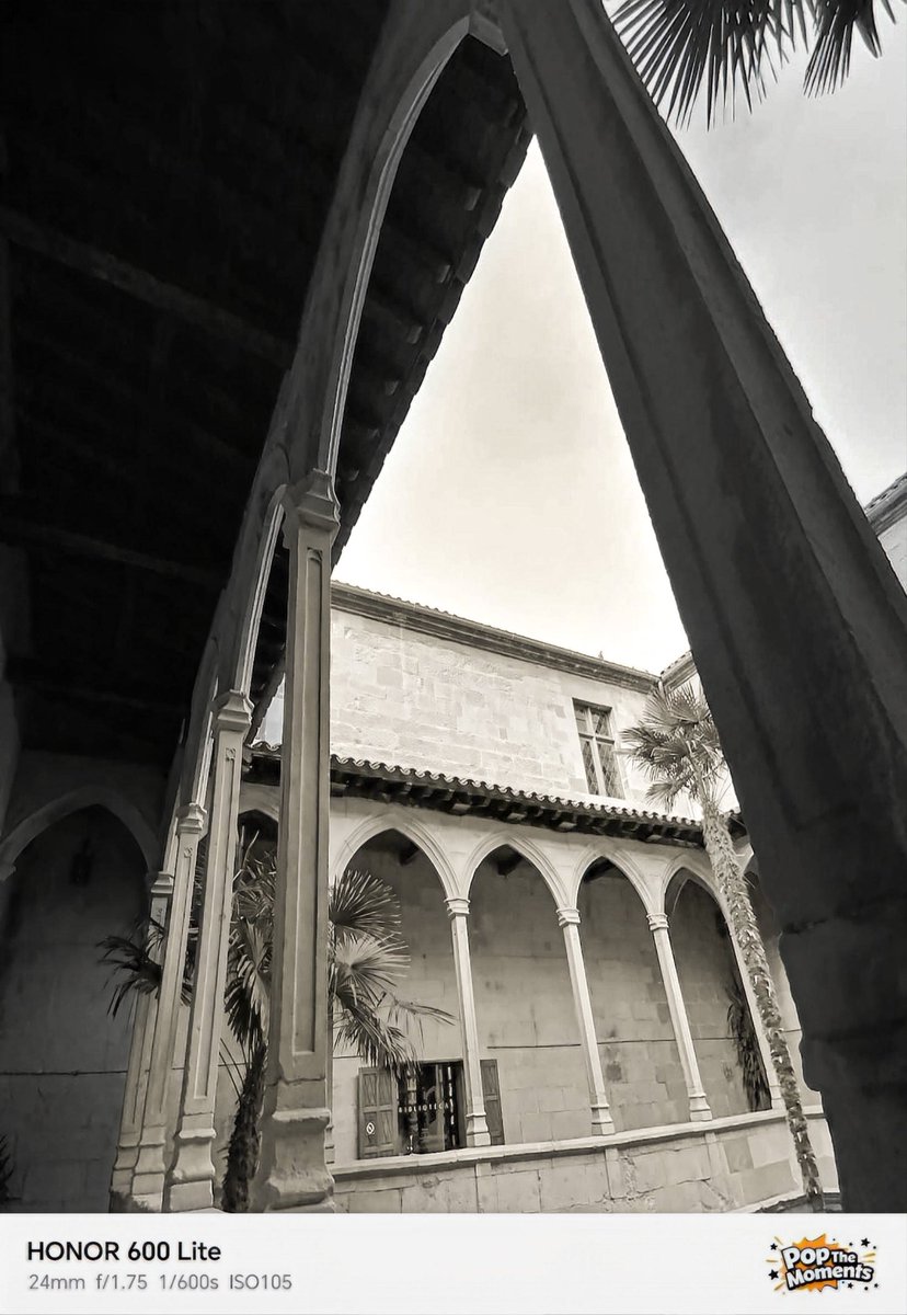 aymanmostafa213's tweet photo. #honor600lite
#honorseries
#photography
#Beautiful https://t.co/5fRUYqEiXl