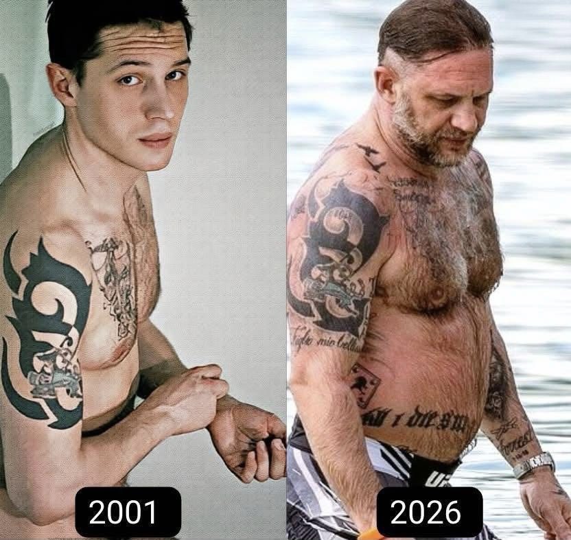 kosara ivanov tweet media