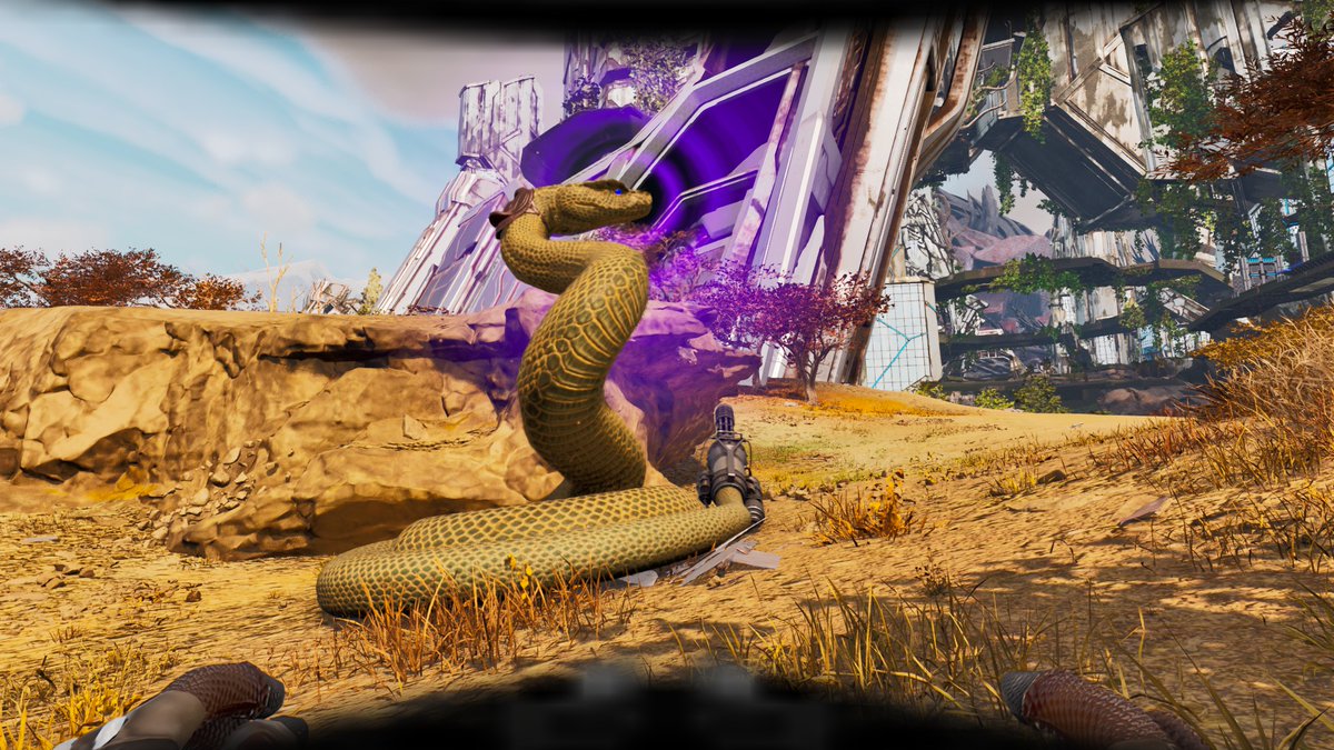 ソロモン tweet media