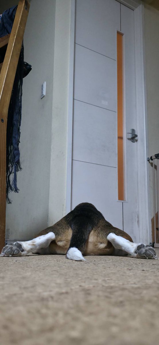 サバ田 tweet media