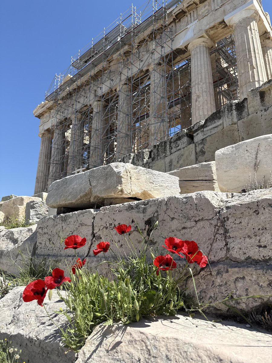 RKH4658's tweet image. Quick trip around the Acropolis #Athens #Greece