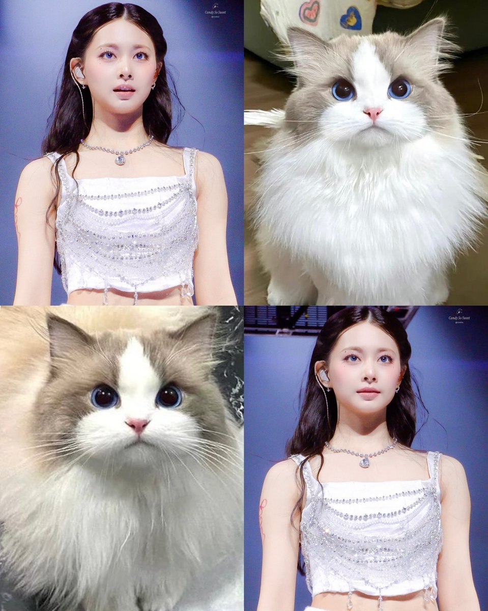코리 ♡ 𓈒 ֯ 𓂂 tweet media