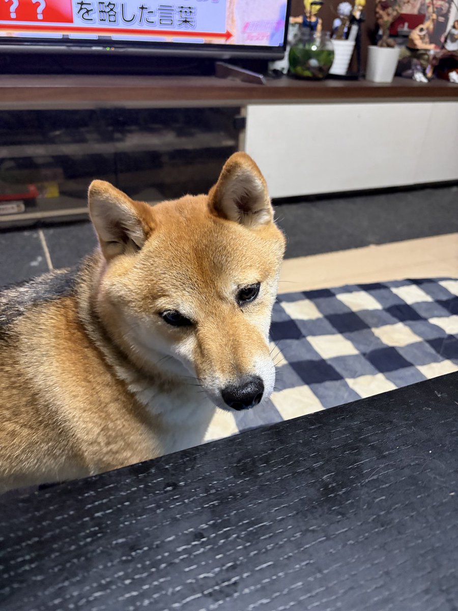 mitsuru69 tweet media