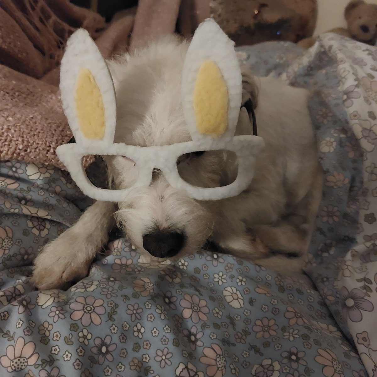 JacquelineCabl9's tweet image. #maths matters
#music matters
#literacy matters
#art 
Guess what

Yup. Important stuff

Morning @DollyParton 
She counts for millions of kids she sends books to
X

Hattie says hi 👋