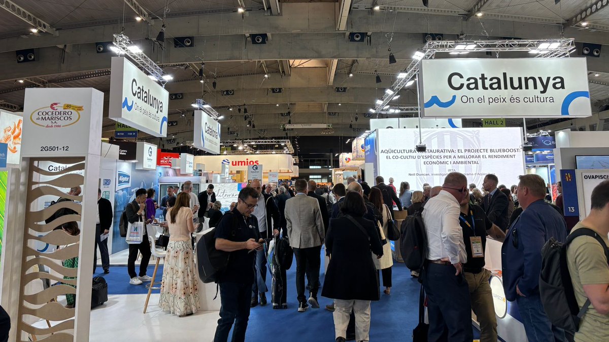 Prodeca tweet media
