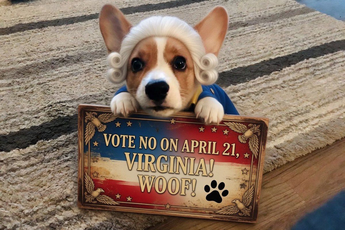 The🐰FOO tweet media