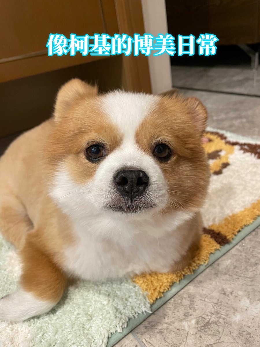 BahrainBaba tweet media