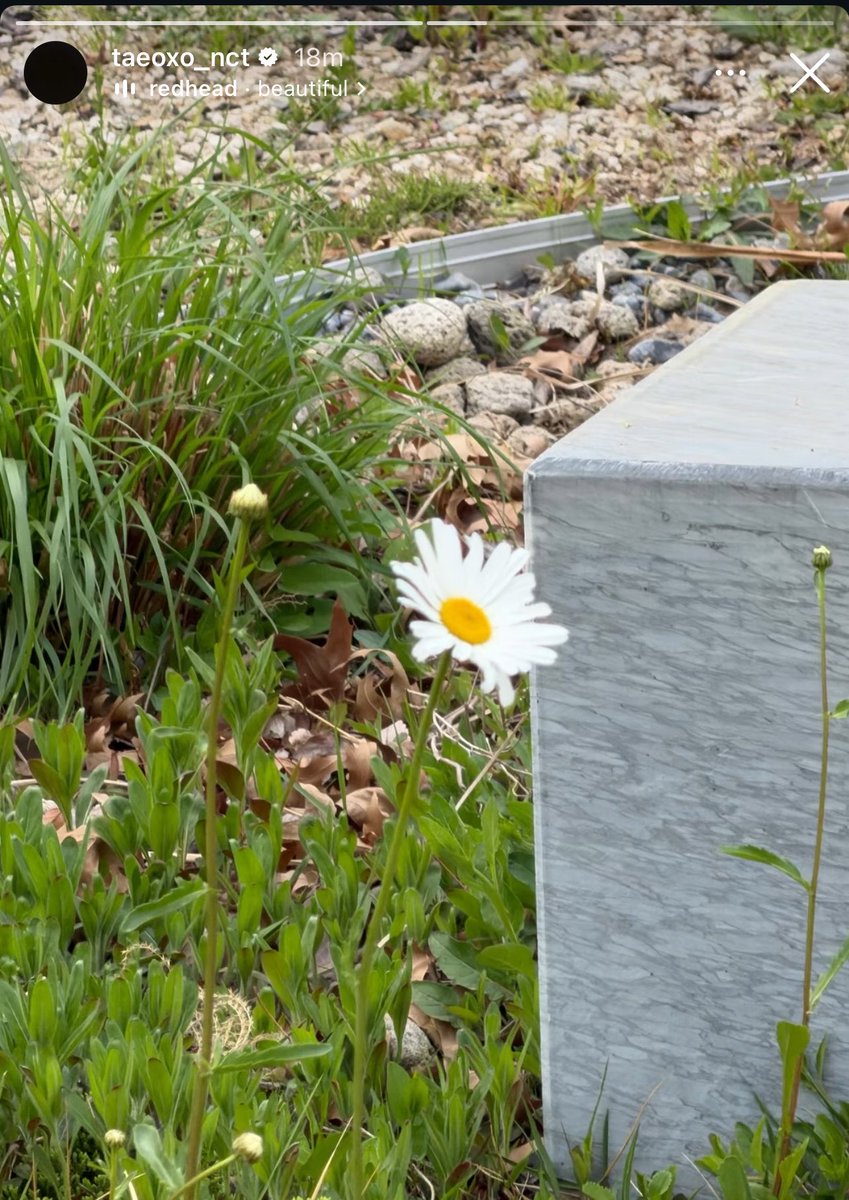 ИIИI¹²⁷ 🍒 tweet media