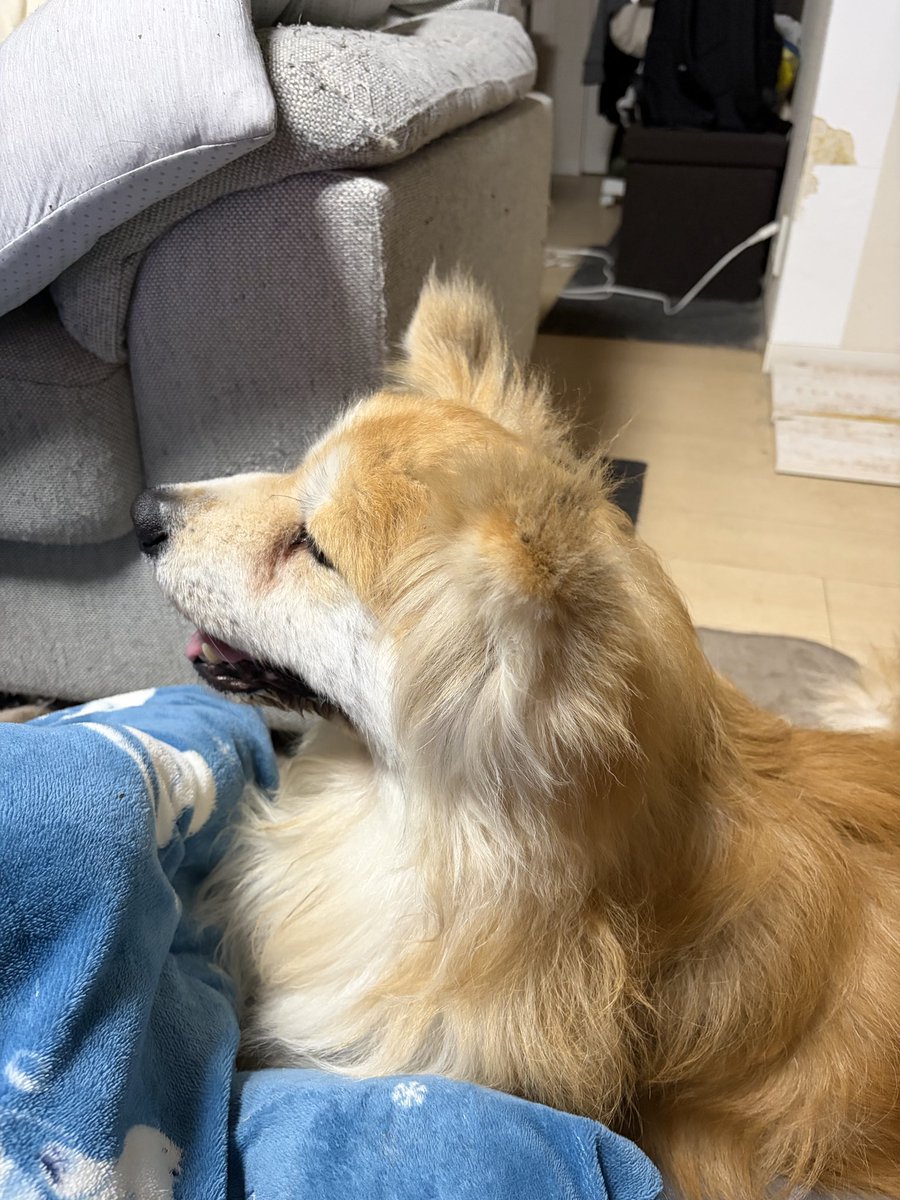 mitsuru69 tweet media