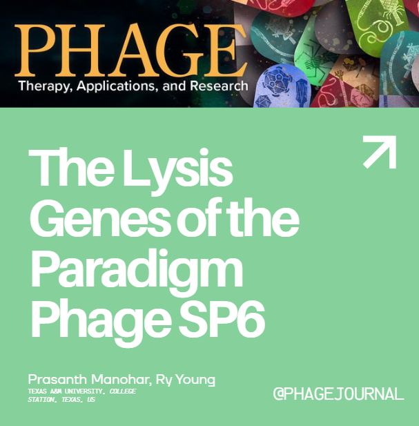 PHAGE: Therapy, Applications, and Research tweet media