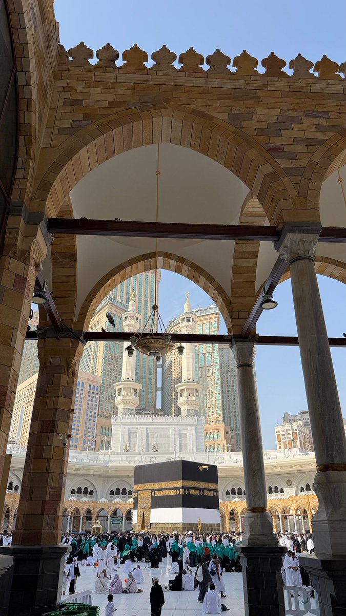 صَفاء . tweet media