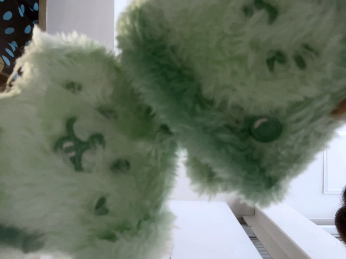  ︎︎ tweet media