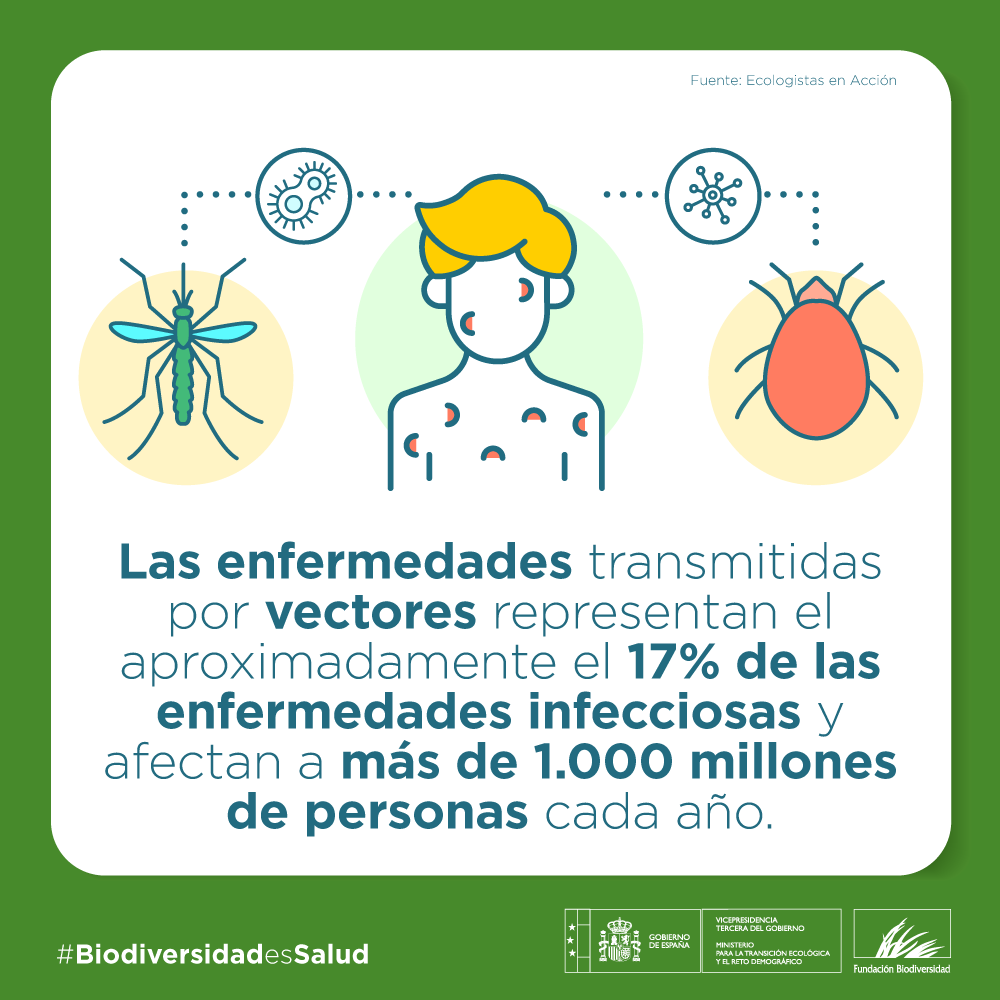 Fundación Biodiversidad tweet media