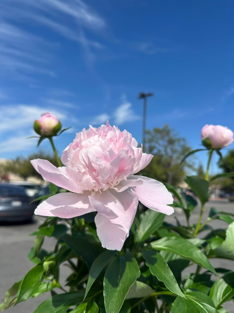 IqraIqraby1123's tweet image. Power ⛮ 
#London
#LondonLife
#LondonCity
#UKTravel
#VisitLondon