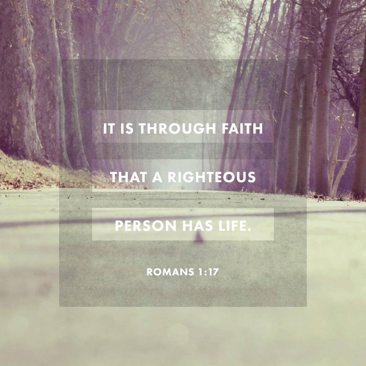 bible.com/verse-of-the-d…