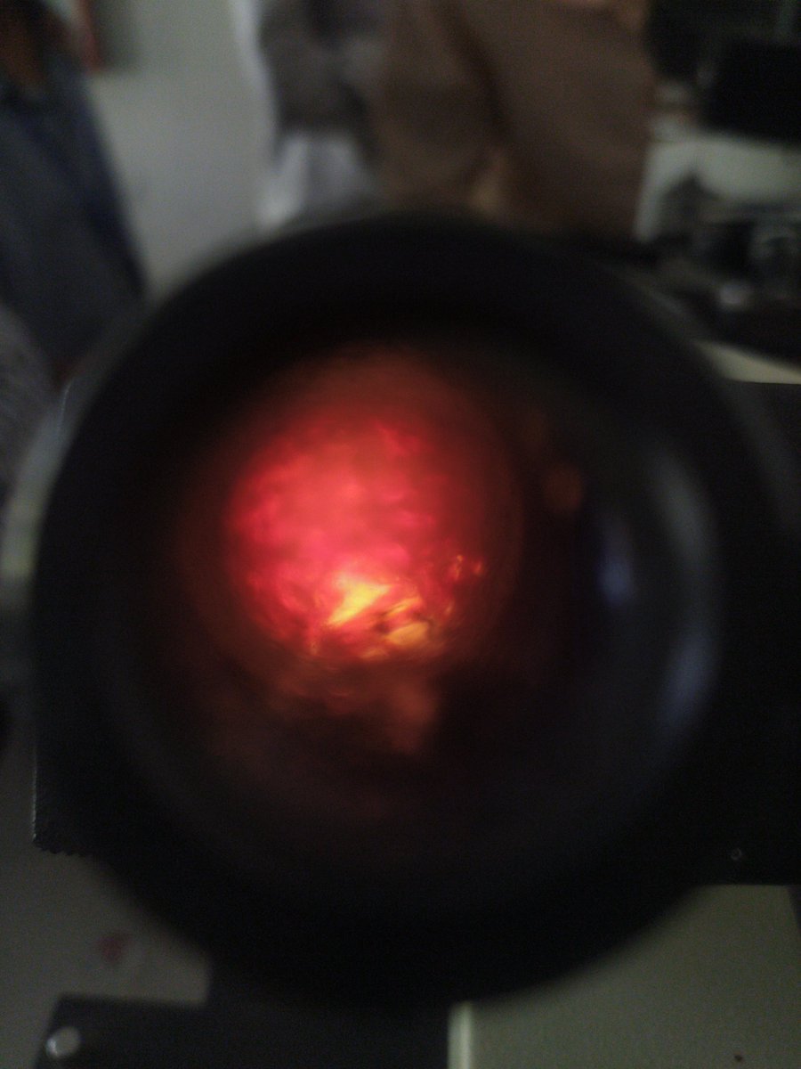 Nidar0708's tweet photo. Practice makes man perfect. 
So,I am parcticing .
Partical of Botany
Looking wancheria slide.
#Botany #viral https://t.co/Iqr3DY30Jc