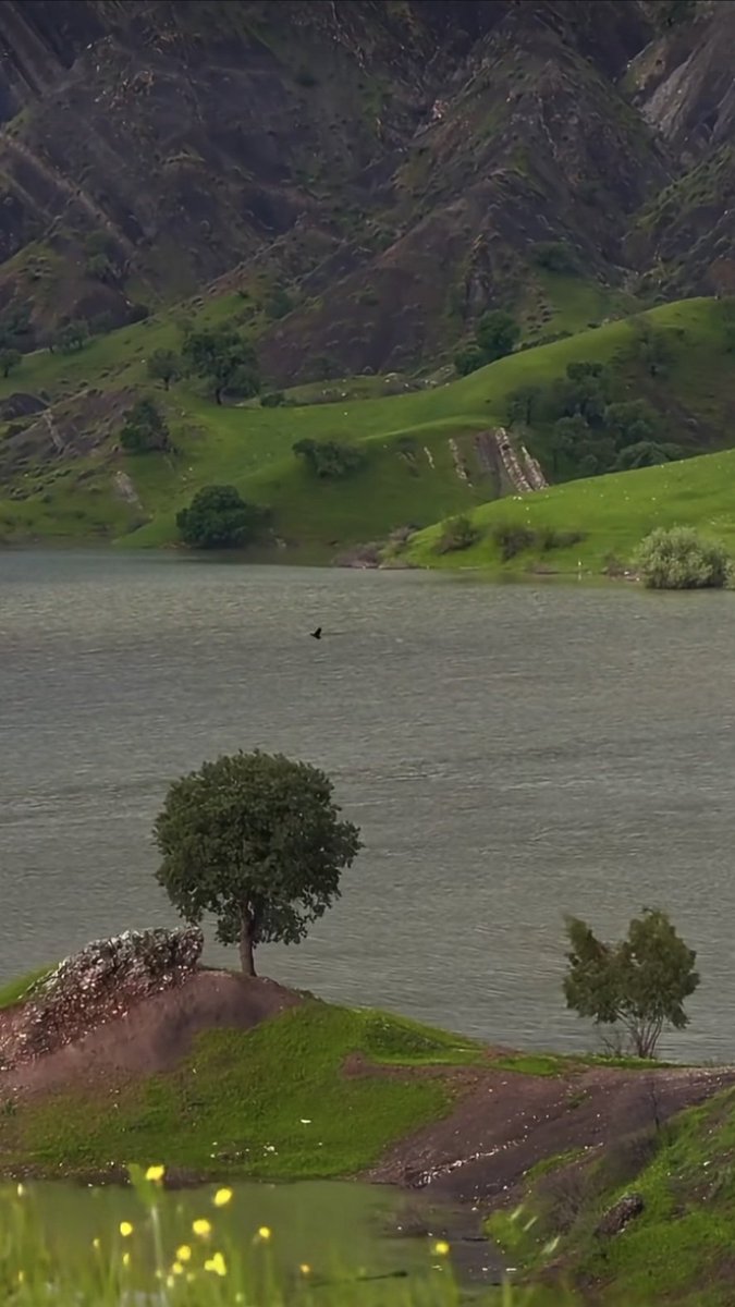 Cahilin cahilliğini kanıtlamak kolaydır fakat ona itiraf ettirmek güçtür. - Hz. Ali (r.a.)