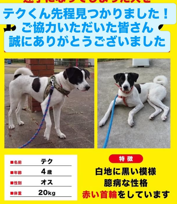 くるみmama tweet media