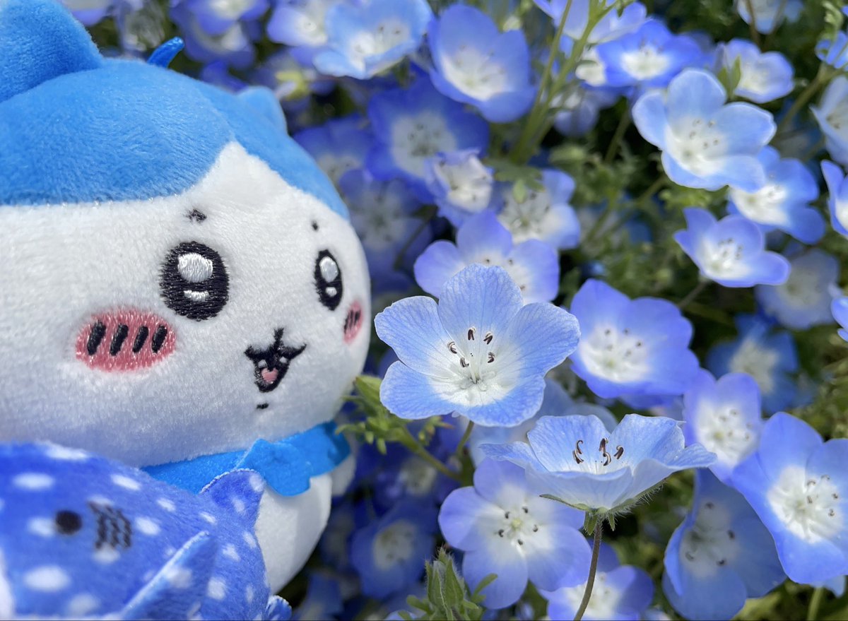 夜郷リオ tweet media