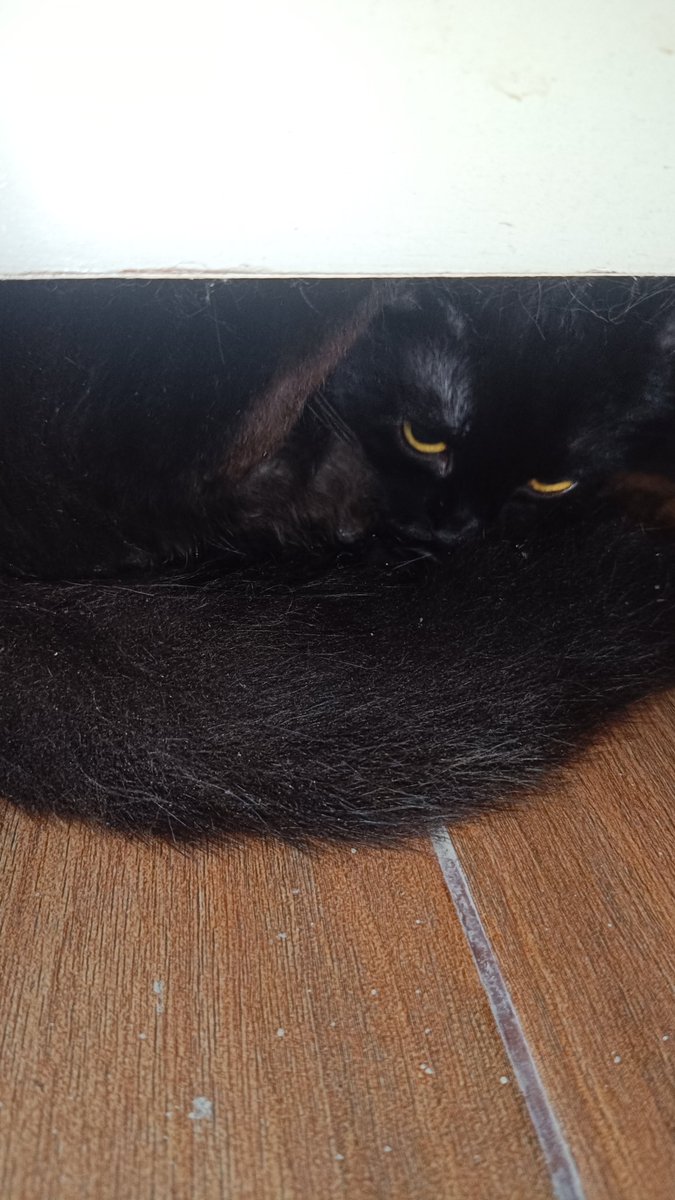 LEA LESTARI 🧜‍♀️💙✨ SILUMAN LELE | #VCOSMIX tweet media