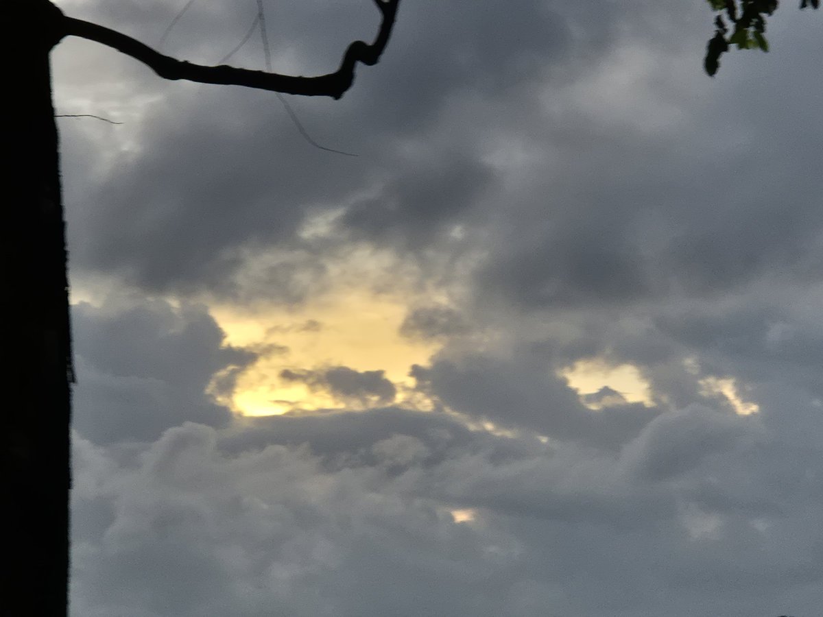 Maaf aku mengecewakan kalian 🥹😪
Sunlight dan mama lemonnya ketutup awan karena disini lagi mendung 🥹