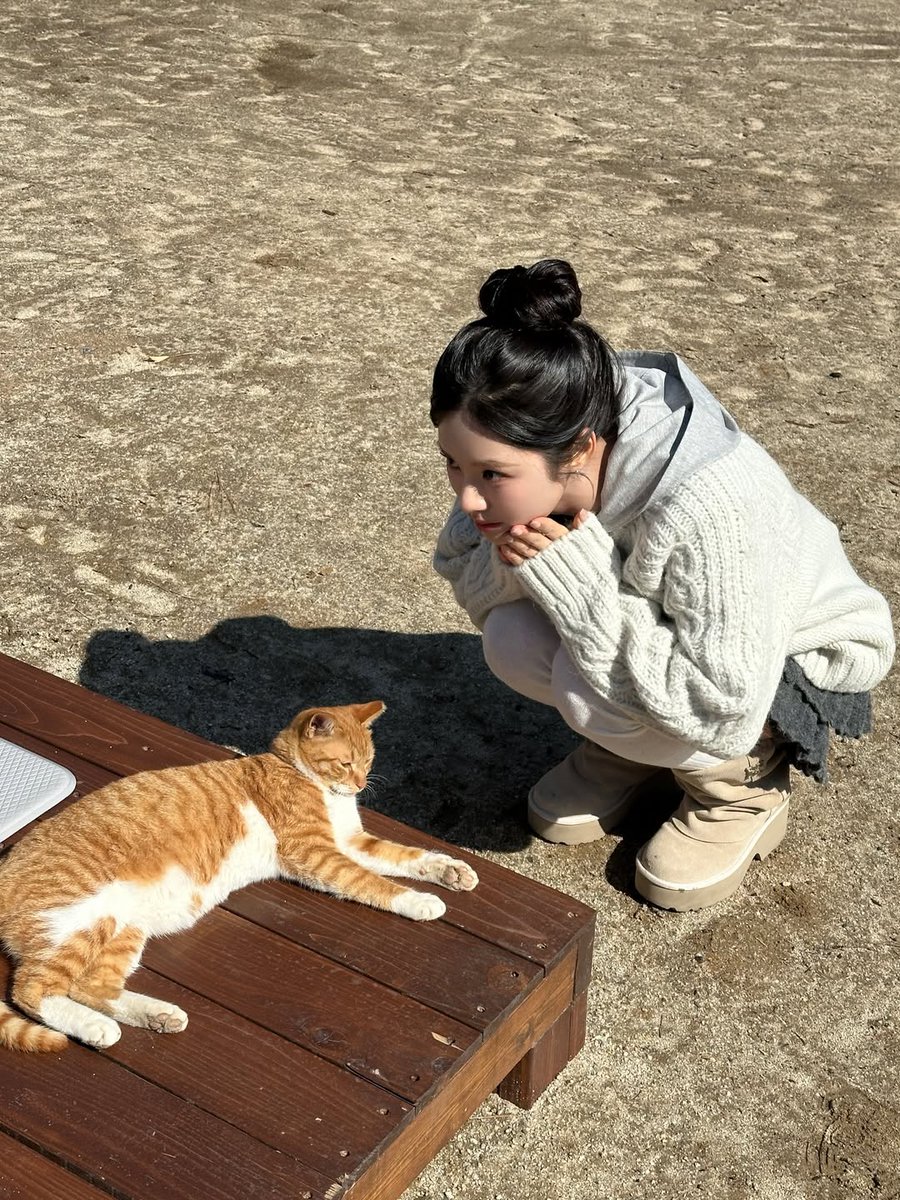 Ponyo 🍀🍊 tweet media