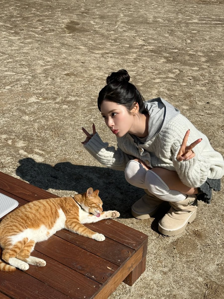 Ponyo 🍀🍊 tweet media