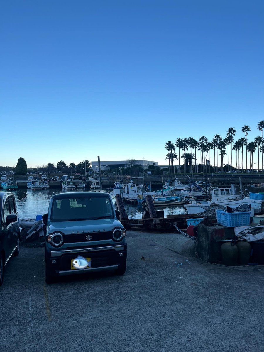 宇宙まお🥪 tweet media