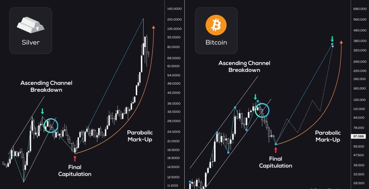 Leon Voss Official tweet media