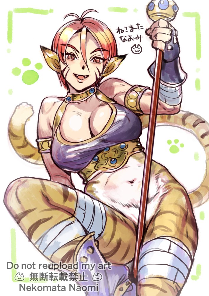 ブレスオブファイア2のリンプーちゃんです 