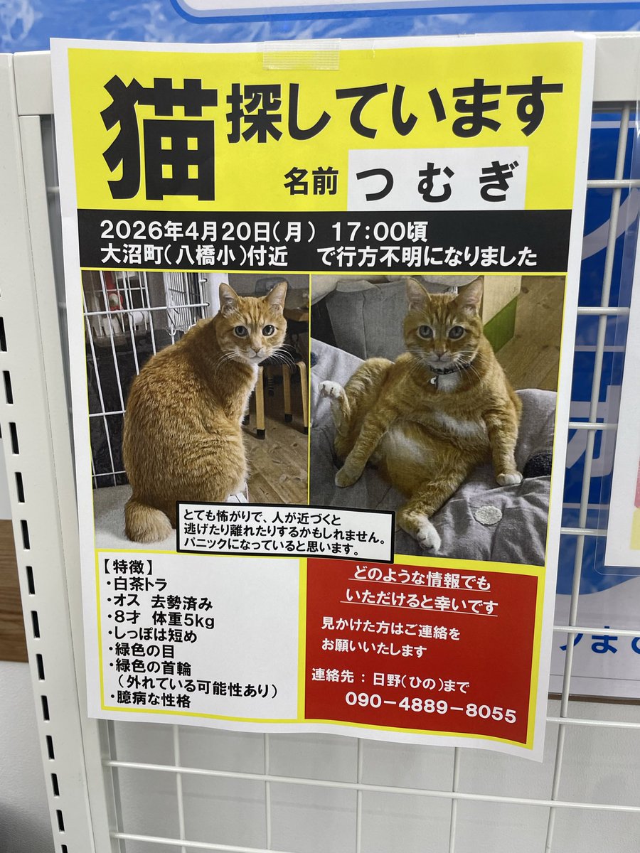 むくみ tweet media