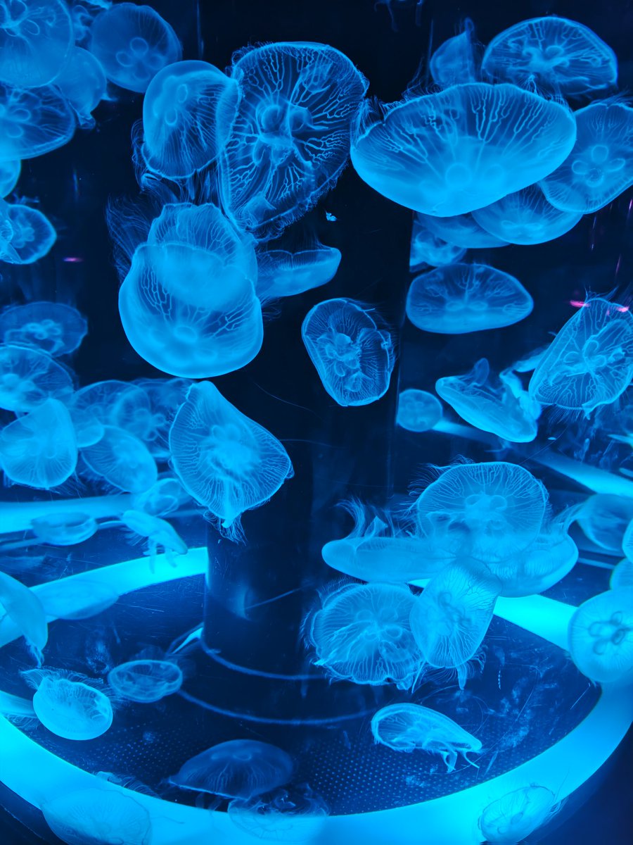 東雲🐸みつのやすらぎ tweet media