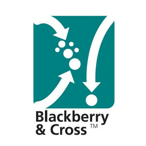 BlackberryCross tweet media