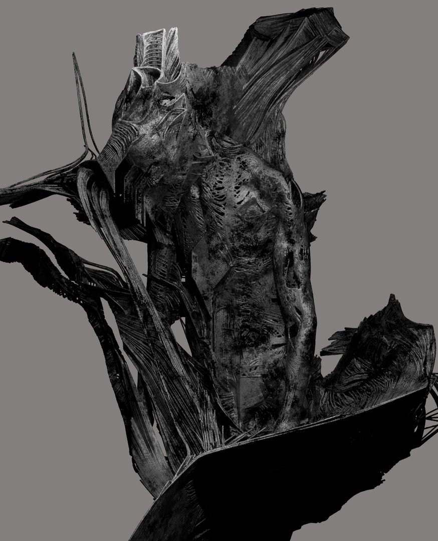Morpho tweet media