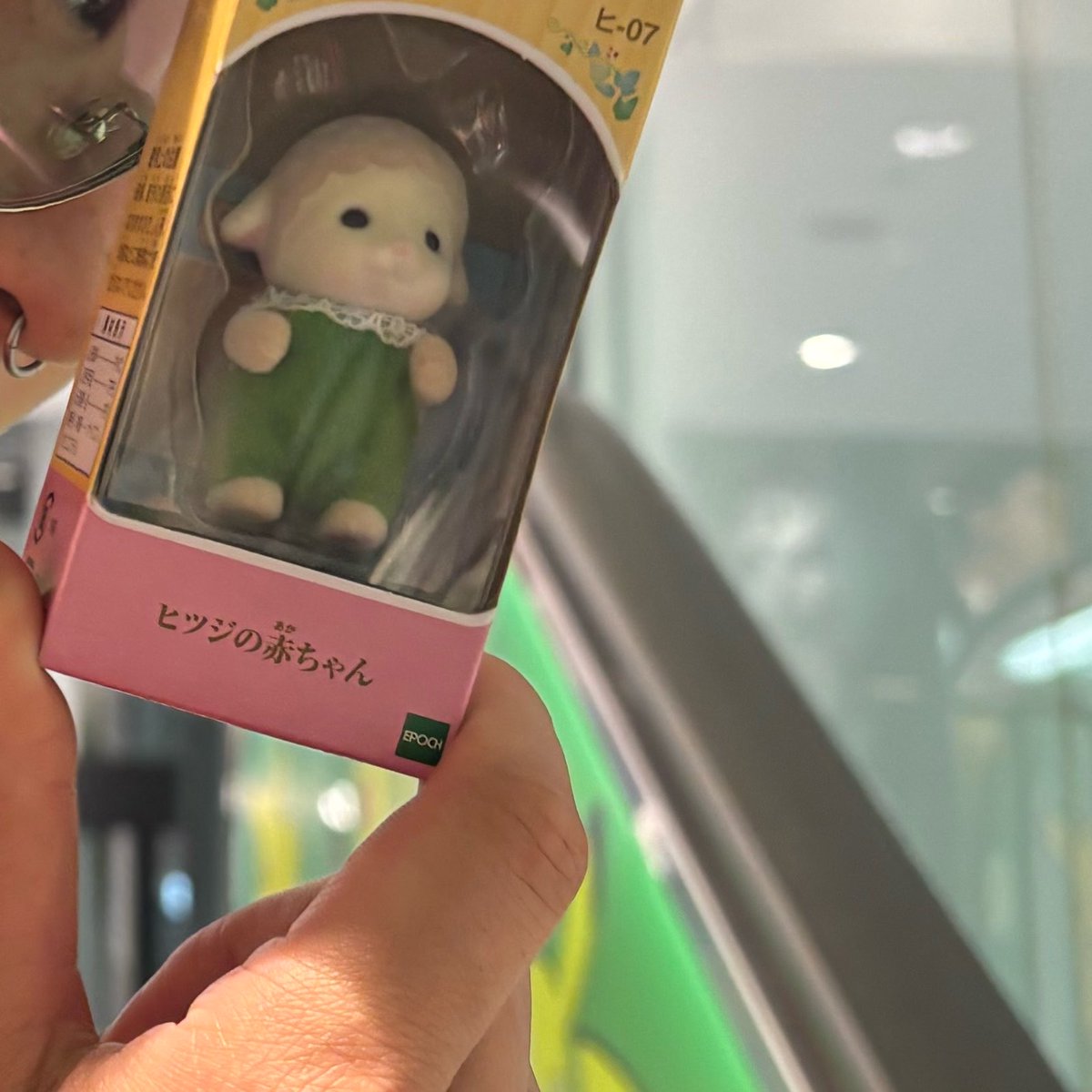 よーちゃん 🍪 (@jp_walk) / Posts / X