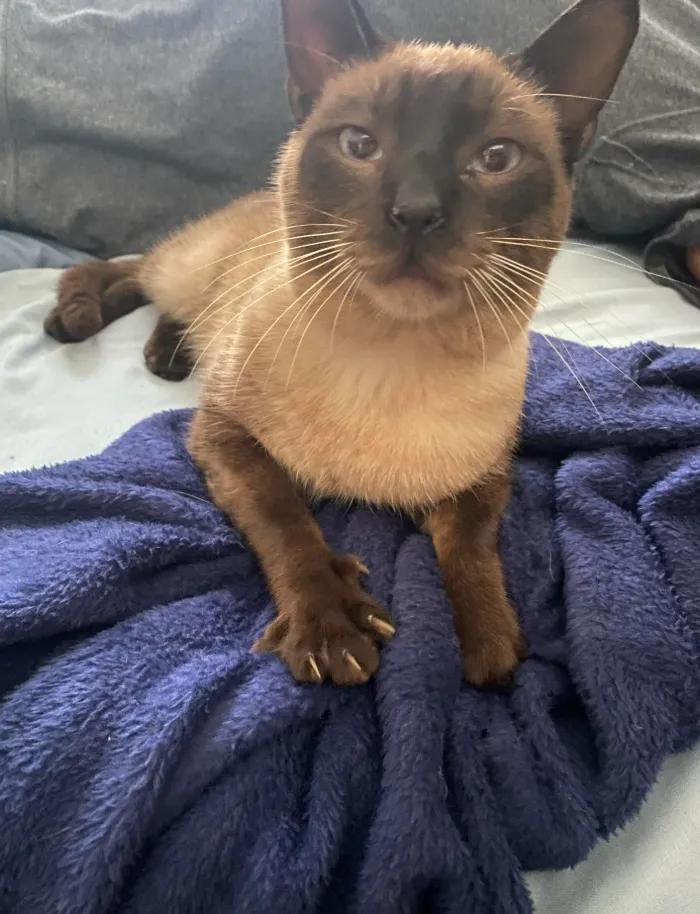 Sara Mary ⭐❤️ tweet media