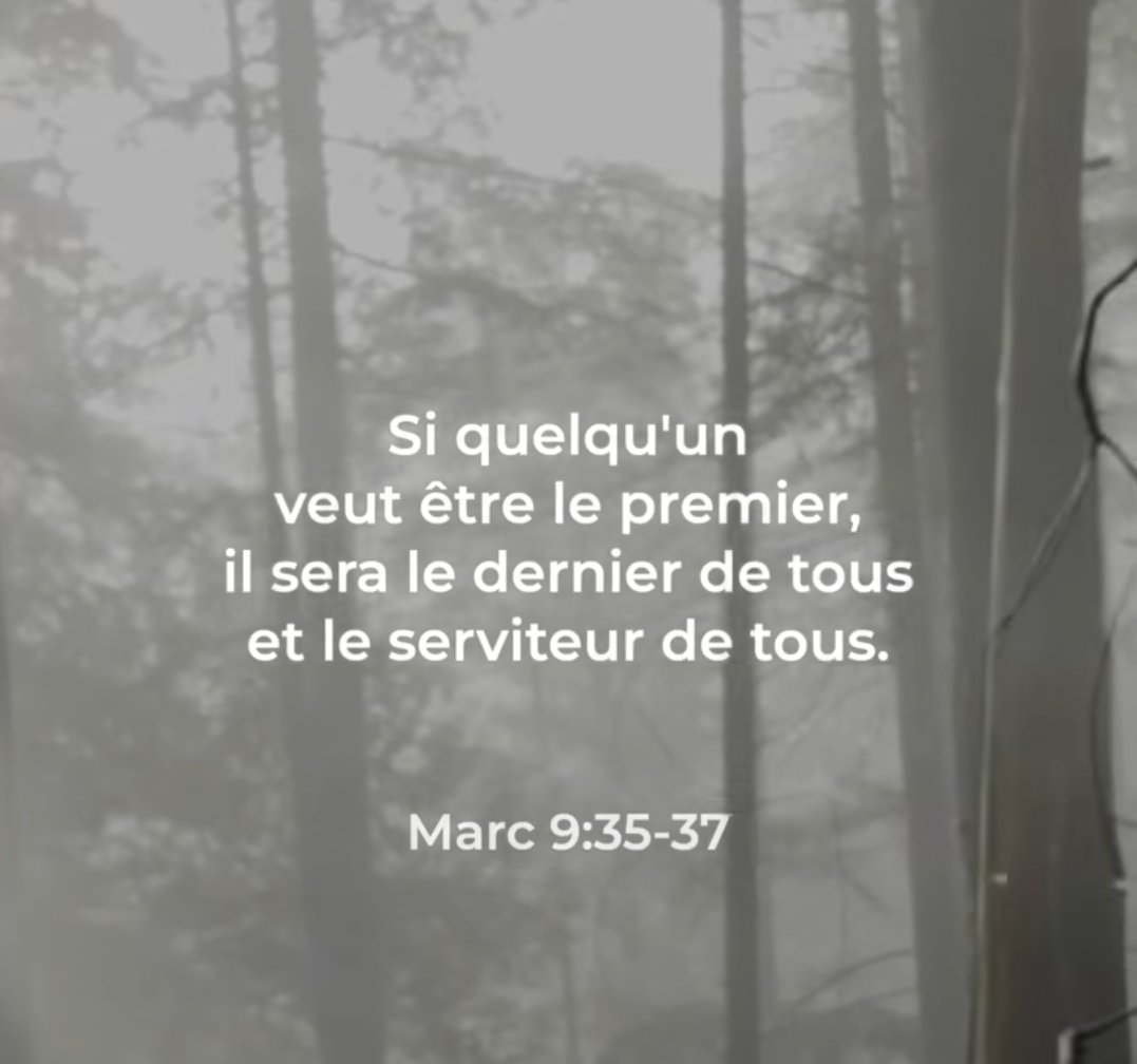 LaBiblesurlenet's tweet photo. https://t.co/cEupLfUuD9