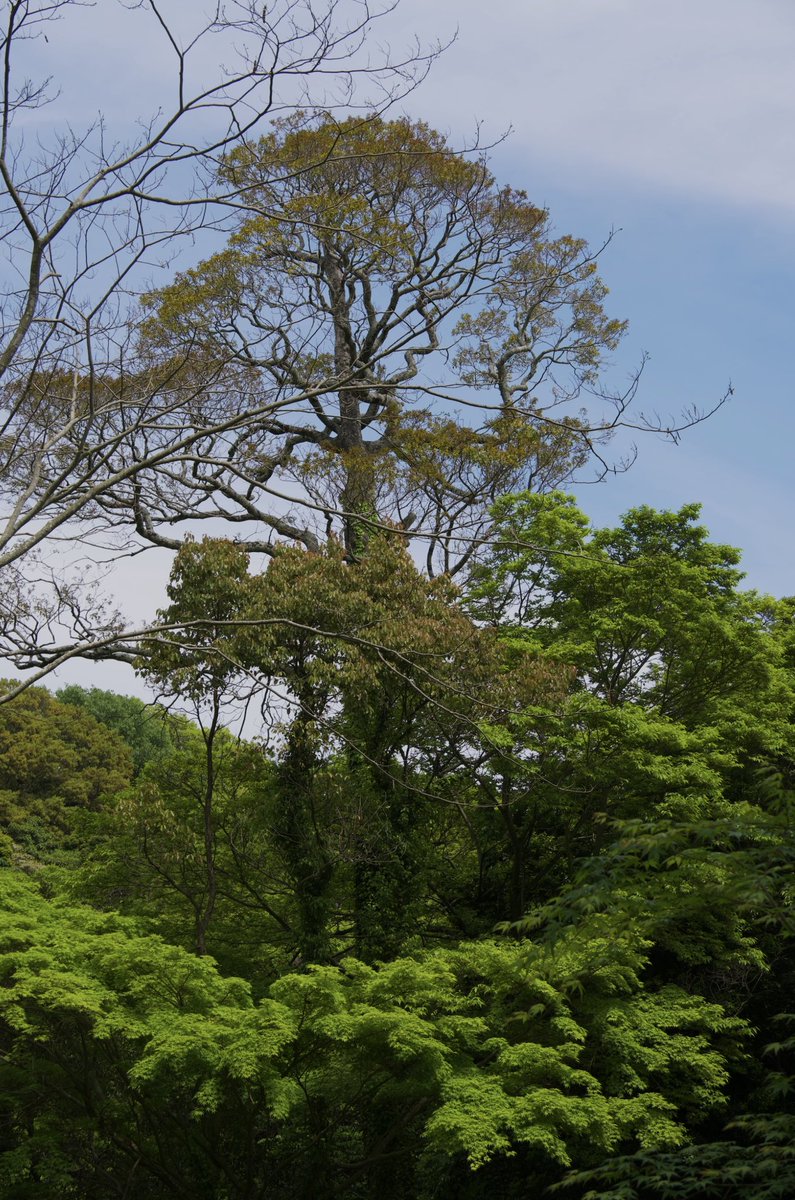 Jonathan Hiro tweet media