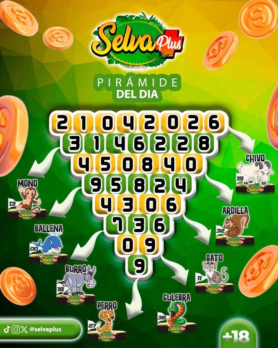 ***SELVA PLUS*** tweet media