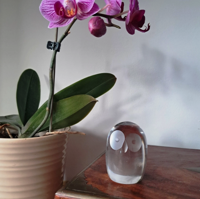 DaisyRain001's tweet image. Super cute Hadeland glass owl (4cm x 5.5cm, 210g) in good condition and available here ebay.us/m/B4Lp5K #Glass #GlassCollector #HadelandGlass #Owls #GiftIdeas