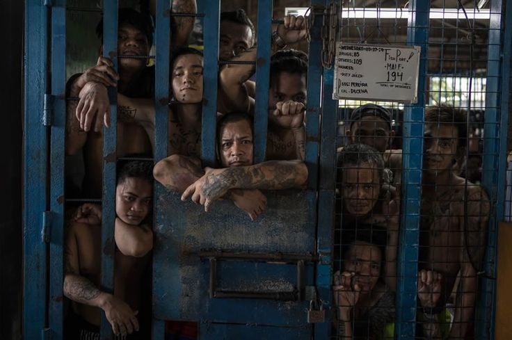 raincey ꕤ tweet media