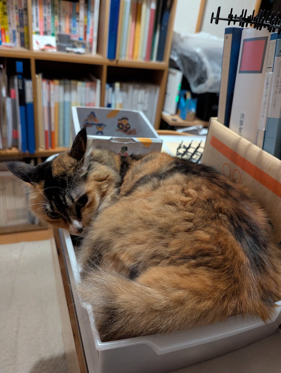 なるしま行政書士事務所 tweet media