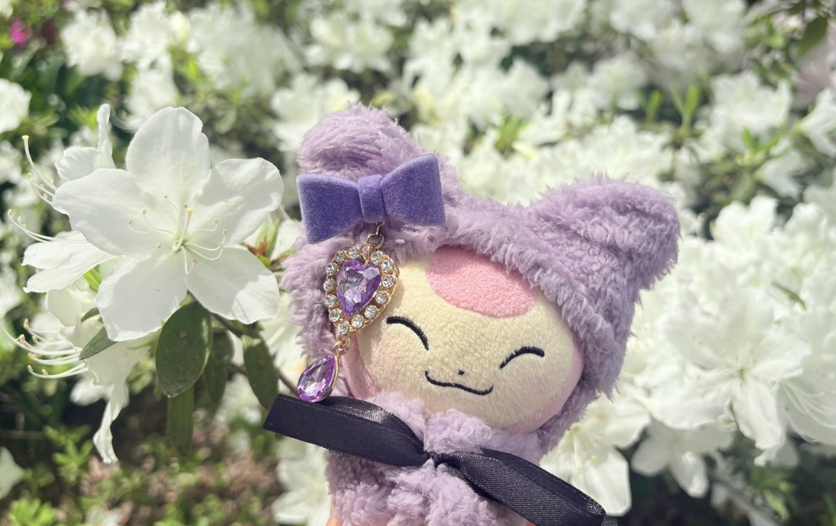 ⸜💜⸝えね🐱 tweet media