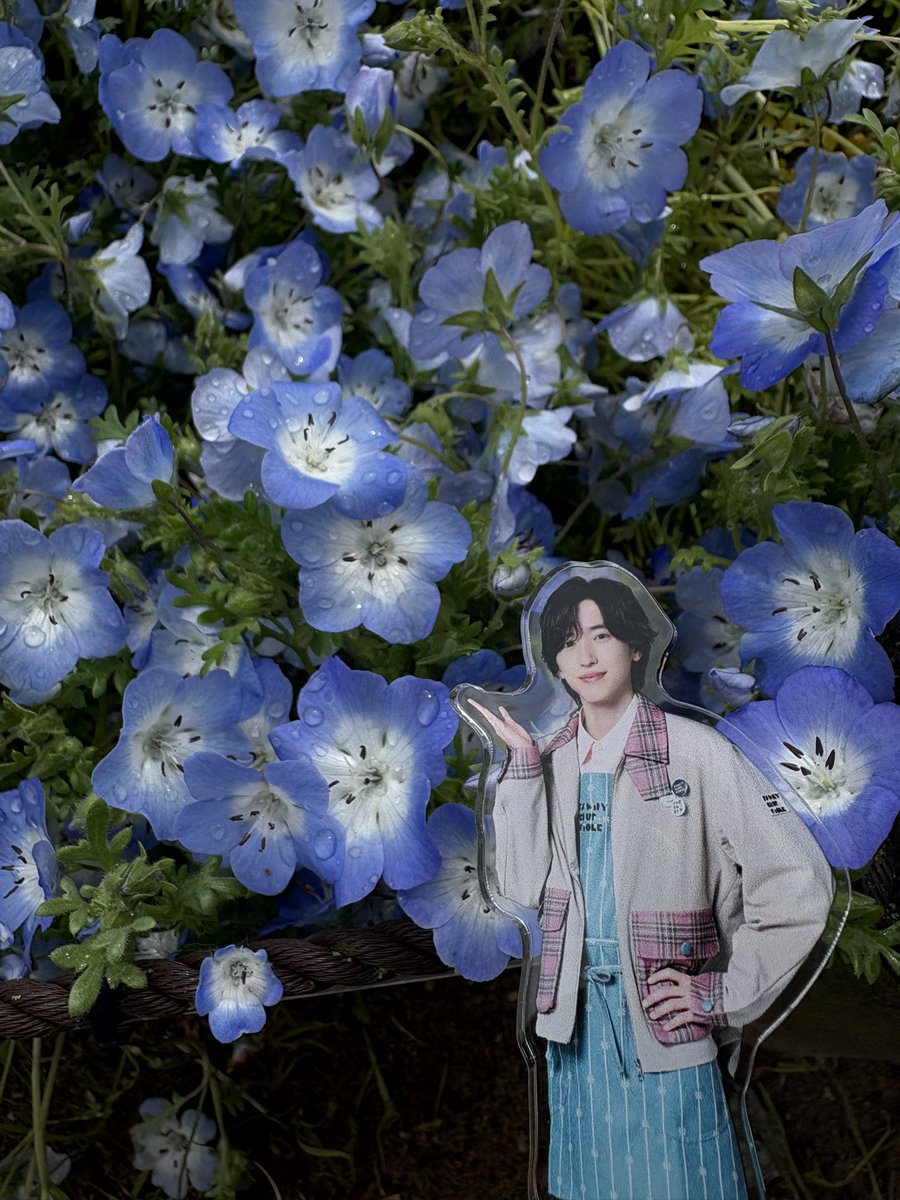 かなえ tweet media