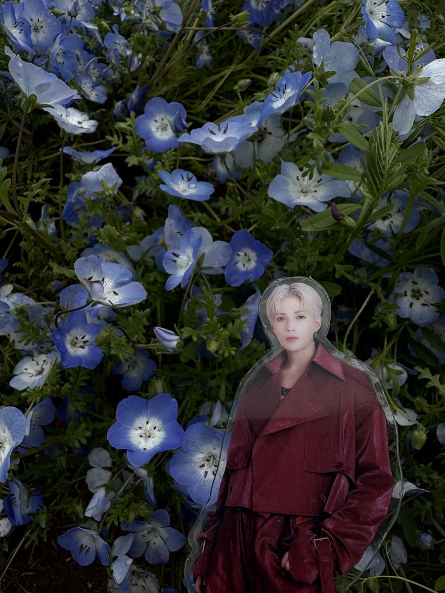 かなえ tweet media