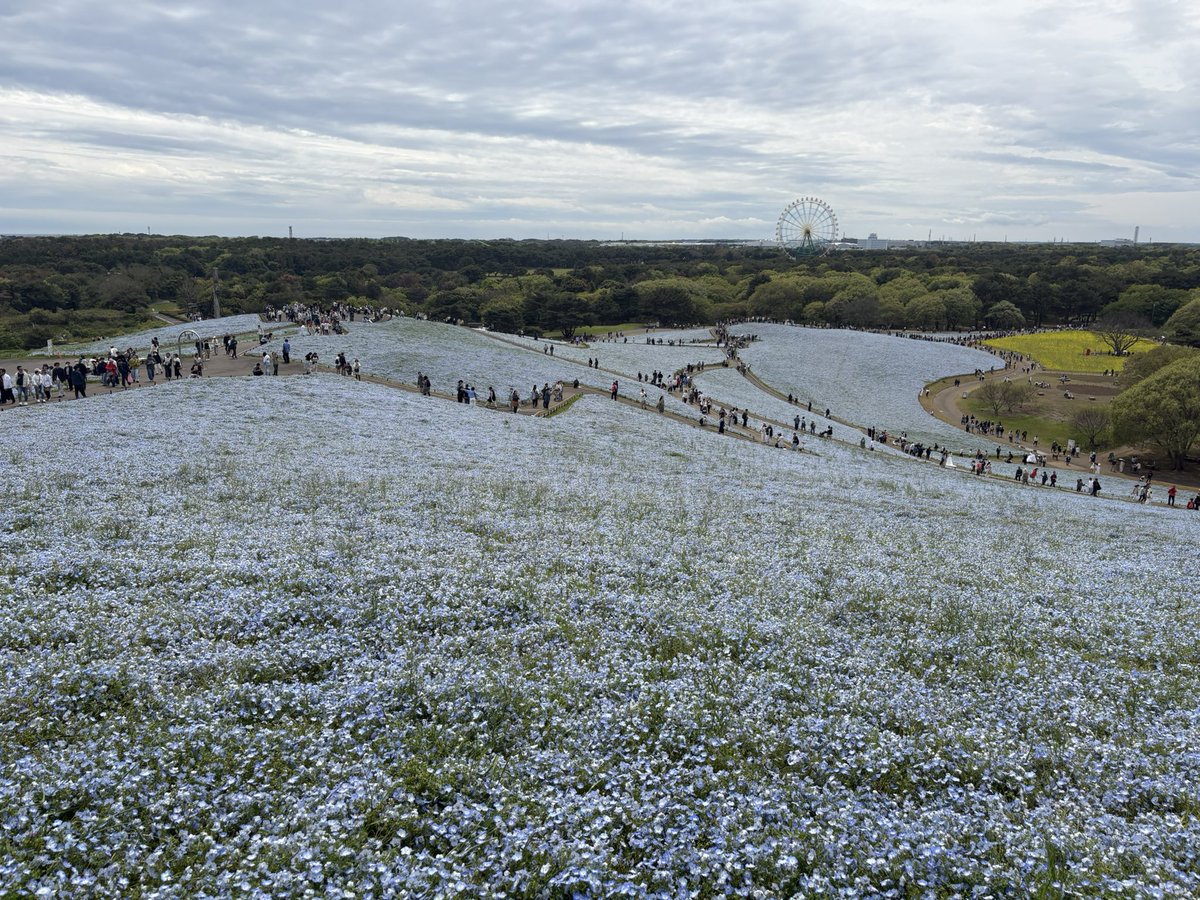 かなえ tweet media