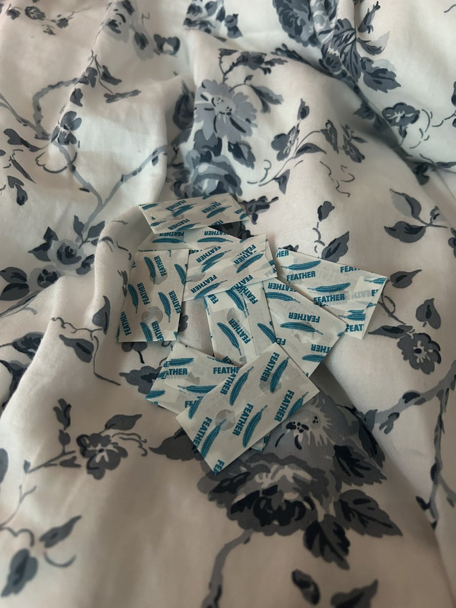 rainbowdash of shedtwt tweet media