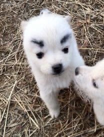 리본..ೀ tweet media